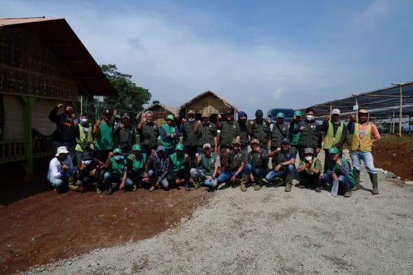 Reforestation Examples