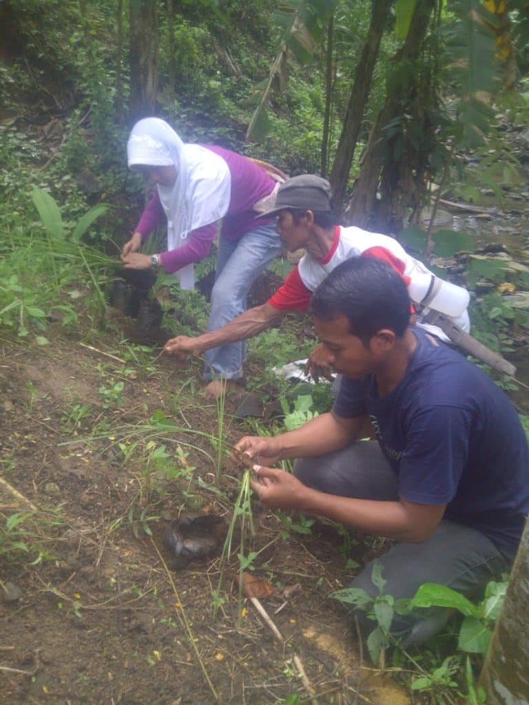 Riparian Planting Program