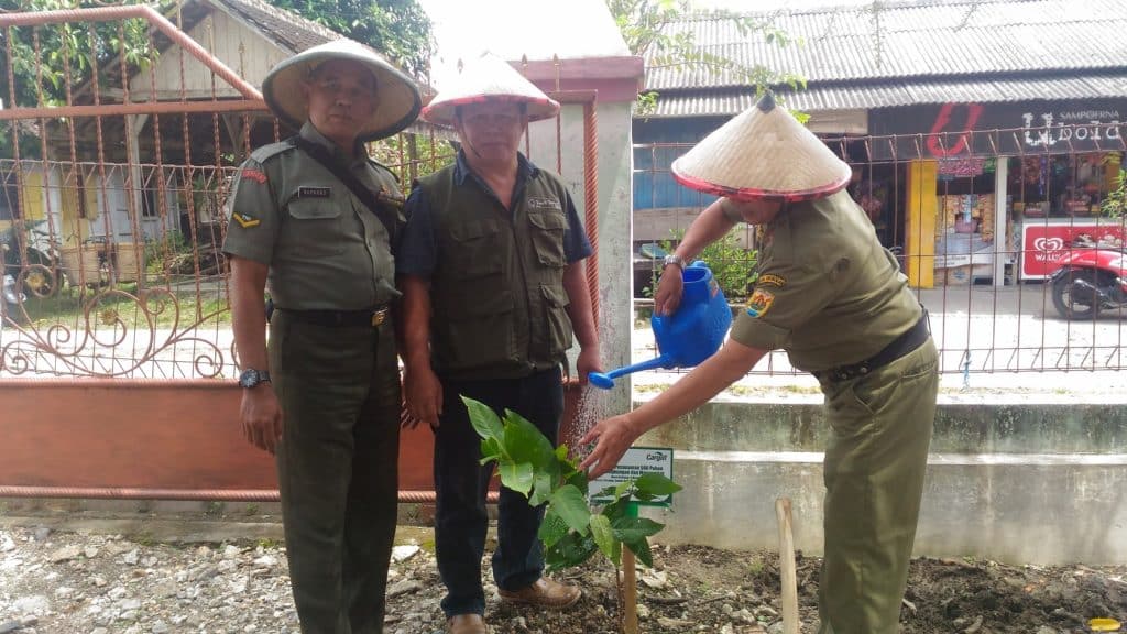 500 Trees of Jambu Deli Madu for Ketitang, Central Java