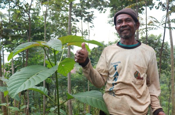 Preserving Land and Planting Trees around Citarum Watershed for Greater Benefits