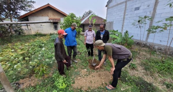 Planting consultation with Trees4trees Team