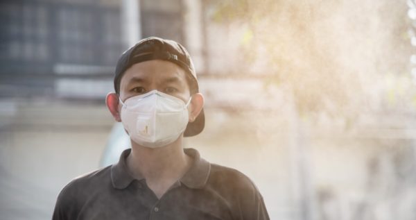 Planting Trees to Combat Jakarta Pollution