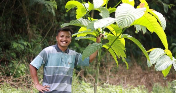 Planting trees to combat jakarta air pollution