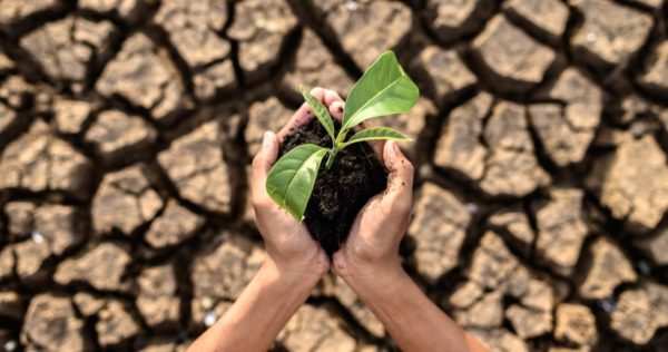 Weathering the Storm