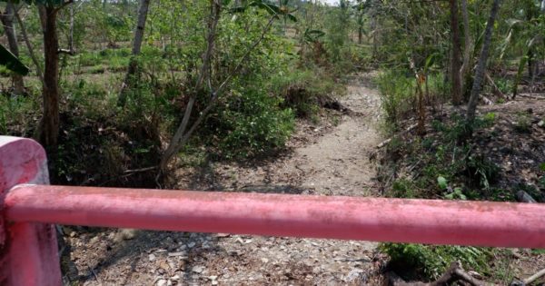 drying out river in boyolali_el nino_trees4trees_v arnila wulandani