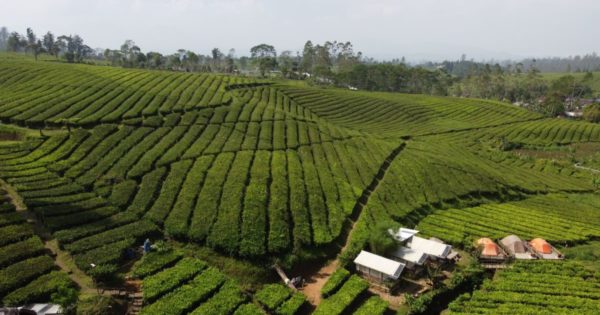 Cibolang Hotpsring Pengalengan