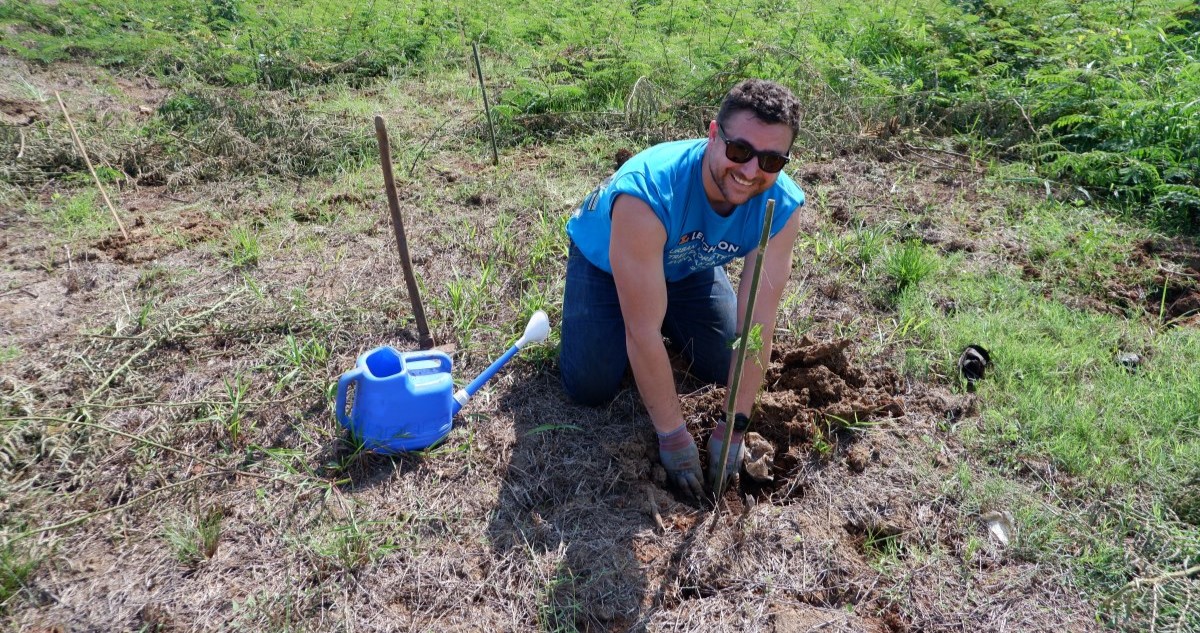 Microsoft Tree-planting