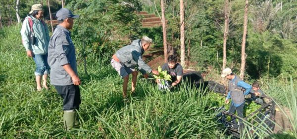 Activity hightlights; Trees4Trees field team distributed approximately 4.1 million seedlings to 18,800 farmers aiming