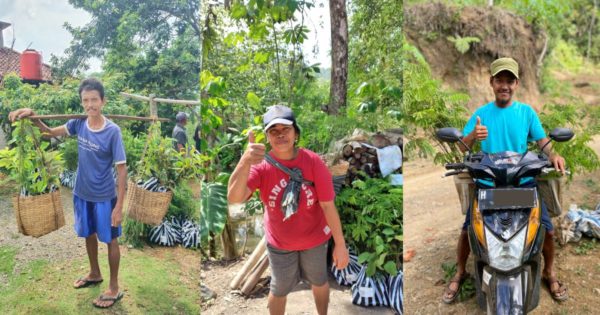 Distributing Tree with our tree growers