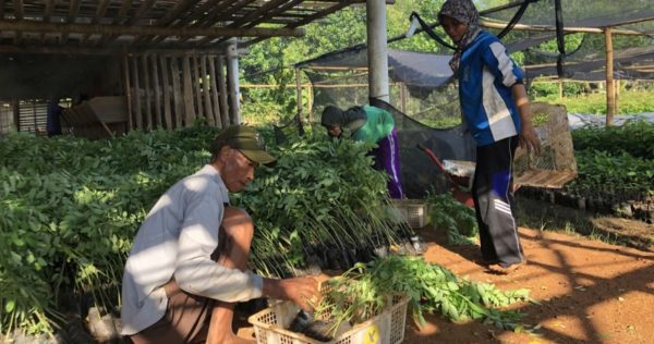 activity in our nursery