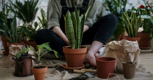 Green Harmony: 6 Ways to Celebrate Earth Day