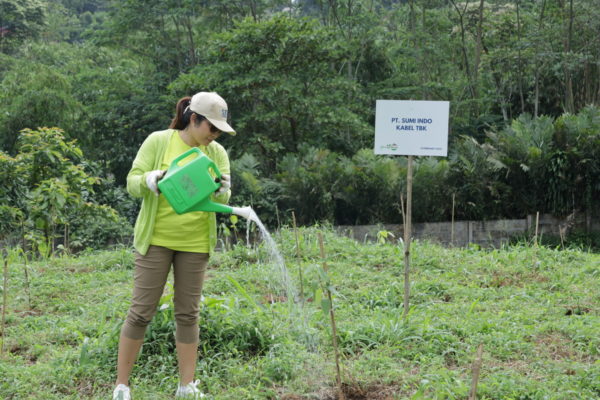 Preventing Disasters