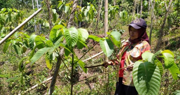 Supporting Women Farmers