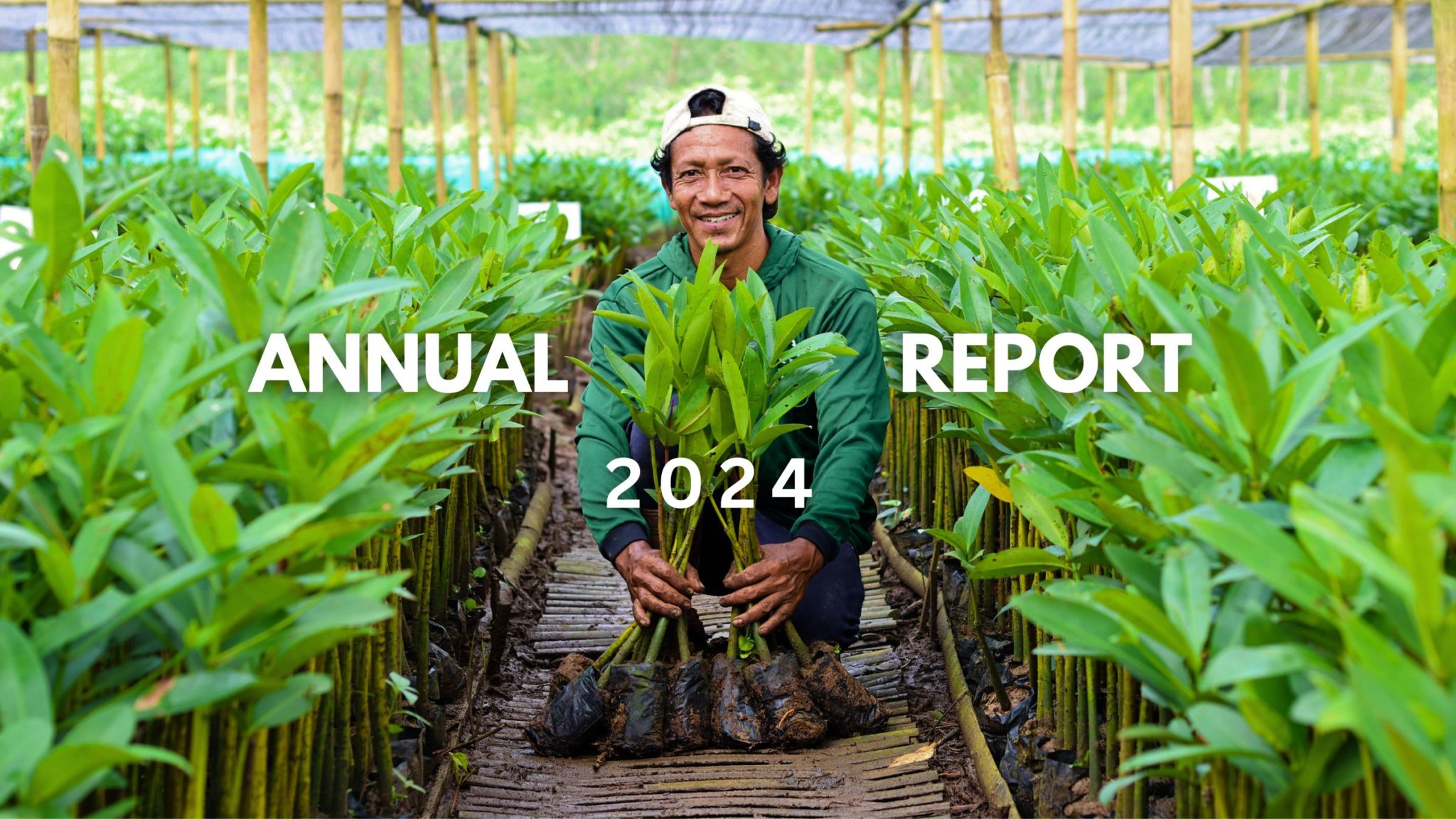 Trees4Trees 2024 Annual Report