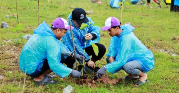 Four Years of Commitment: Microsoft Continues Growing Urban Forests