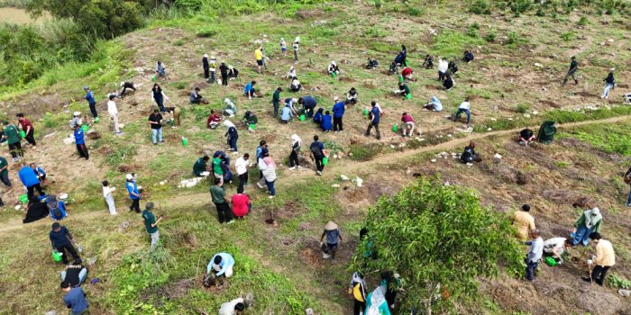 DJI_20241122092220_0087_D