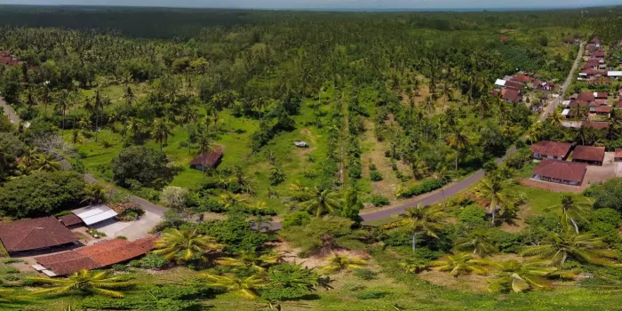 Project Mainpage_Bali Melaya