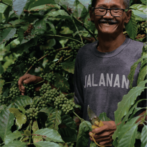 Wasis_Kebumen_2023 (1)